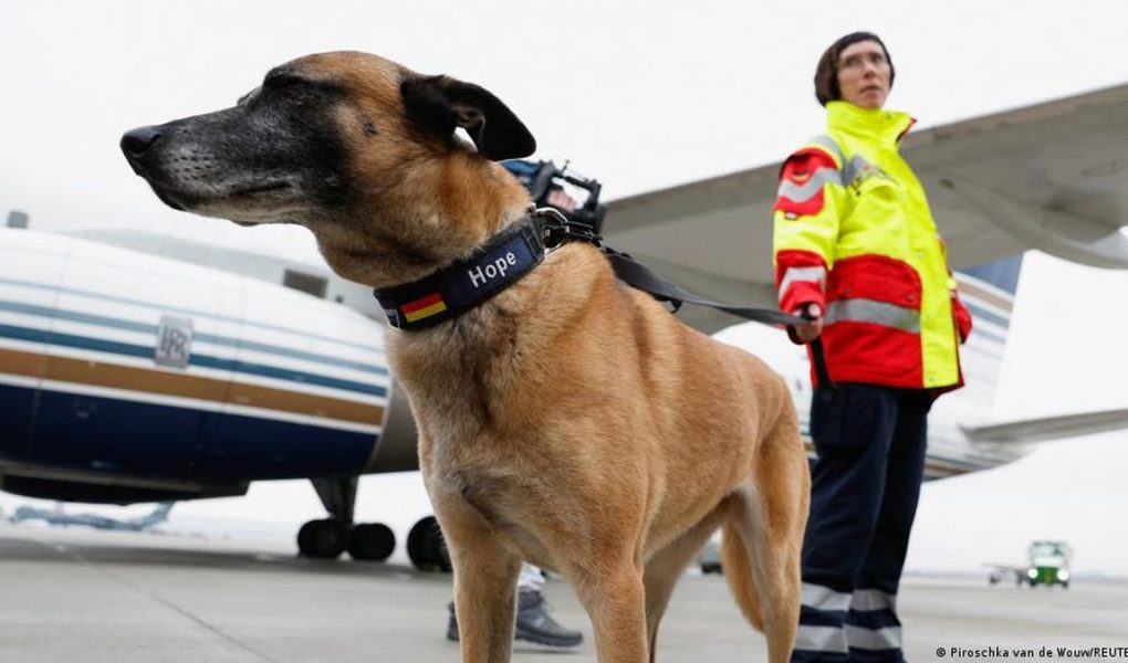 Anjing Pelacak Digital: Bisakah AI dan Drone Gantikan Peran Penting Anjing dalam Mencari Korban Bencana?