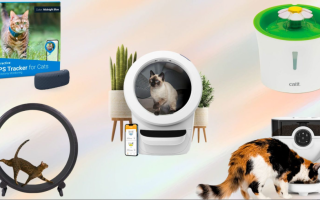 Hewan Peliharaan Kini Pakai Kacamata Pintar dan Bisa 'Telepon' Pemiliknya – Inilah 3 Teknologi Baru yang Mengubah Anjing dan Kucing Jadi 'Anggota Keluarga Digital