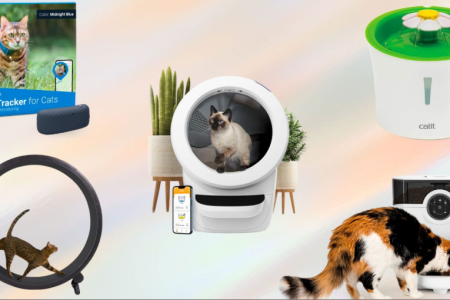 Hewan Peliharaan Kini Pakai Kacamata Pintar dan Bisa 'Telepon' Pemiliknya – Inilah 3 Teknologi Baru yang Mengubah Anjing dan Kucing Jadi 'Anggota Keluarga Digital