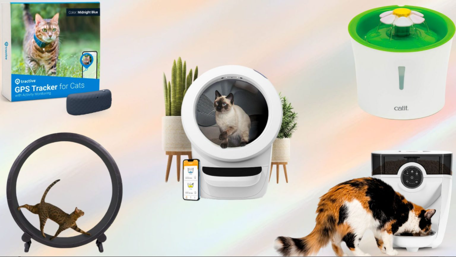 Hewan Peliharaan Kini Pakai Kacamata Pintar dan Bisa 'Telepon' Pemiliknya – Inilah 3 Teknologi Baru yang Mengubah Anjing dan Kucing Jadi 'Anggota Keluarga Digital